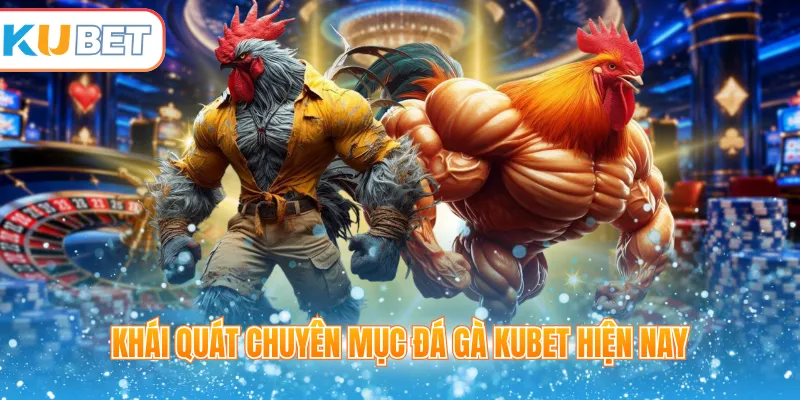 Khái quát chuyên mục đá gà Kubet hiện nay 